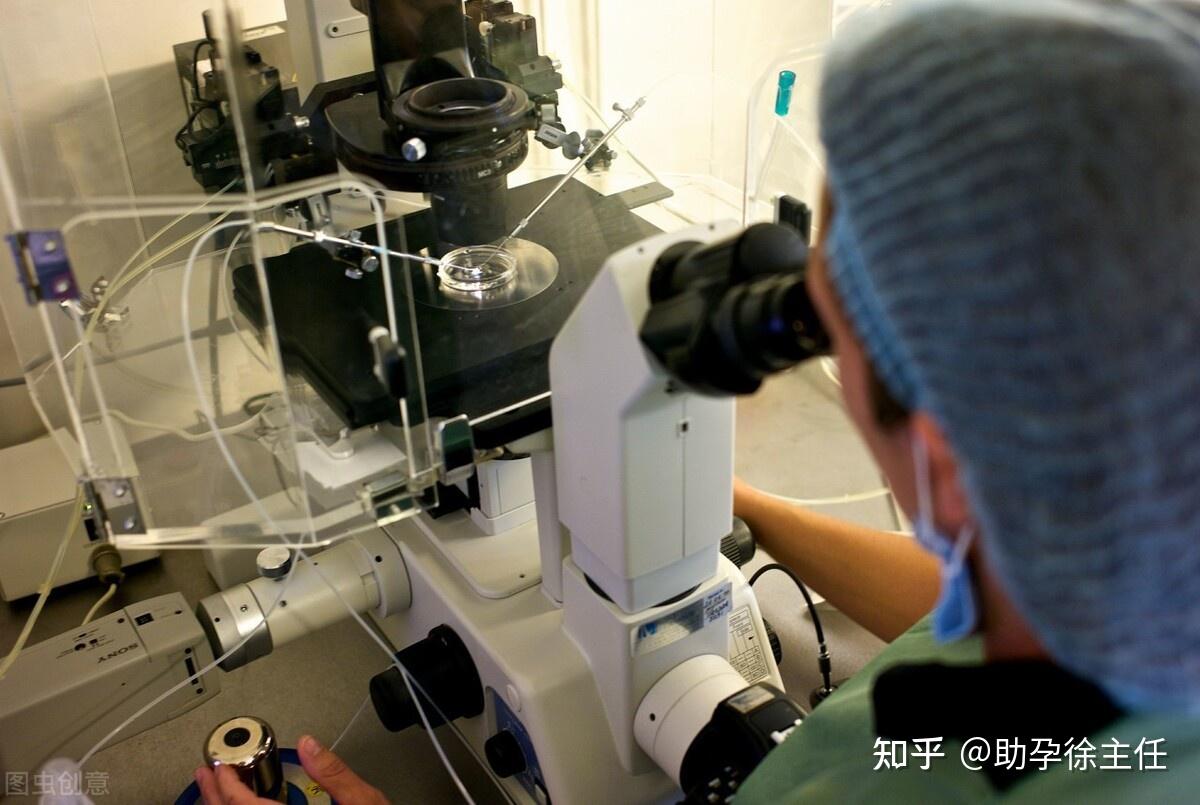 36周胎儿发育标准图片 36周胎儿各项标准值图片